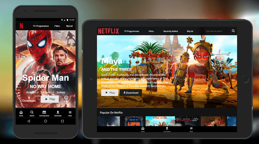 Netflix App